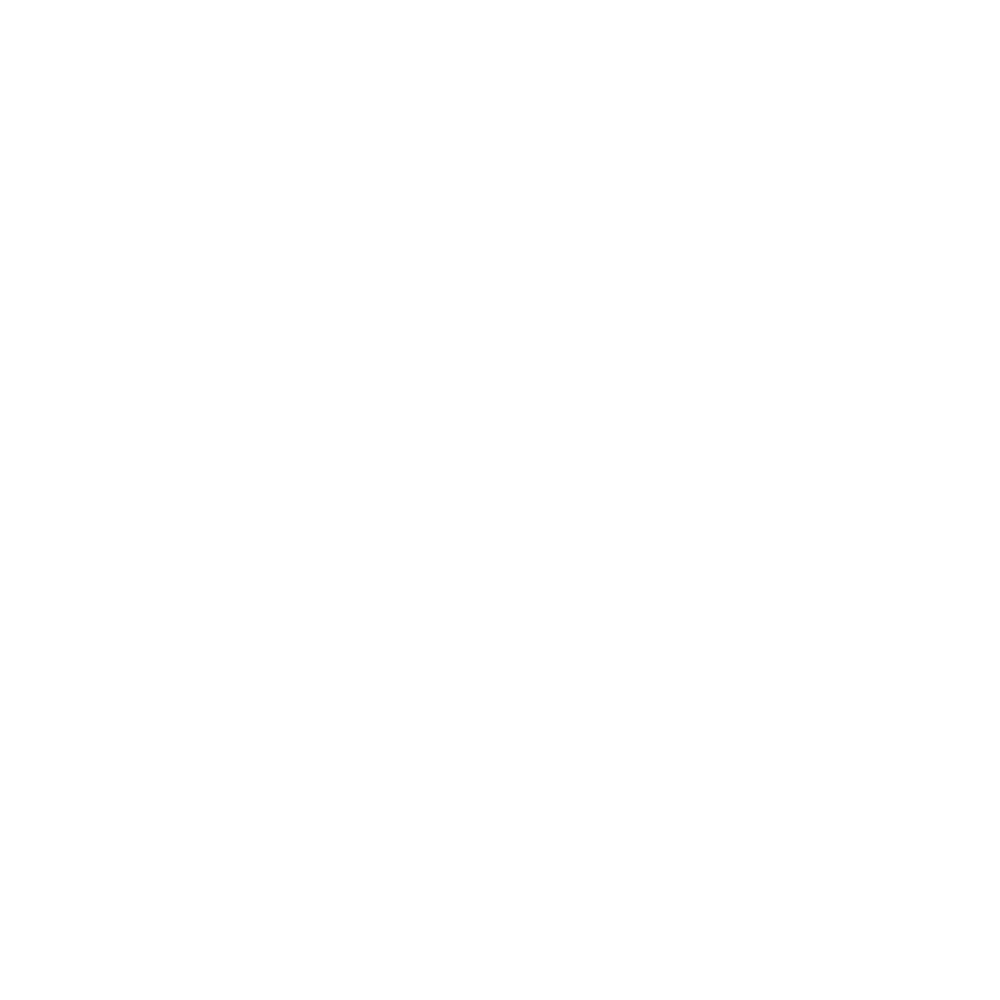 TravelPulsa